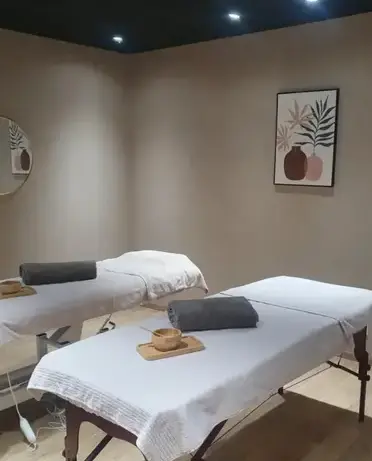 massage en duo à Saint-sauveur-des-Landes - image 4